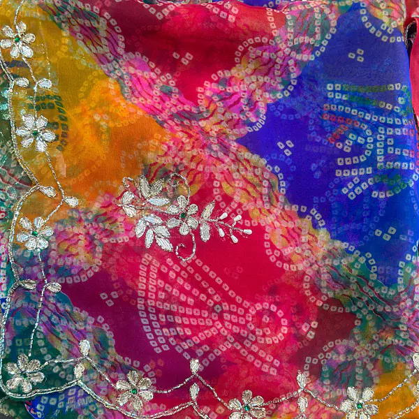 PACHRANGI HANDWORK GOTTAPATTI SAREE - PACHRANGI 2