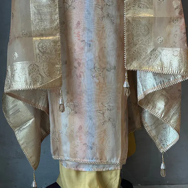 PURE ORGANZA HANDWORK SUIT SET