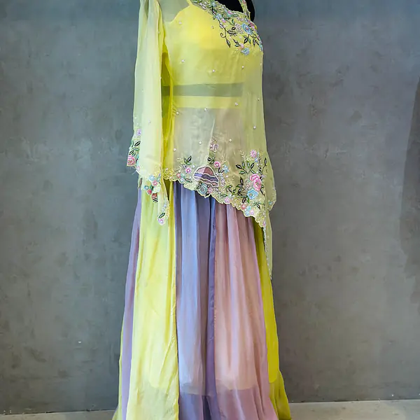 BEAUTIFUL INDO FUSION LEHNGA SET - 38