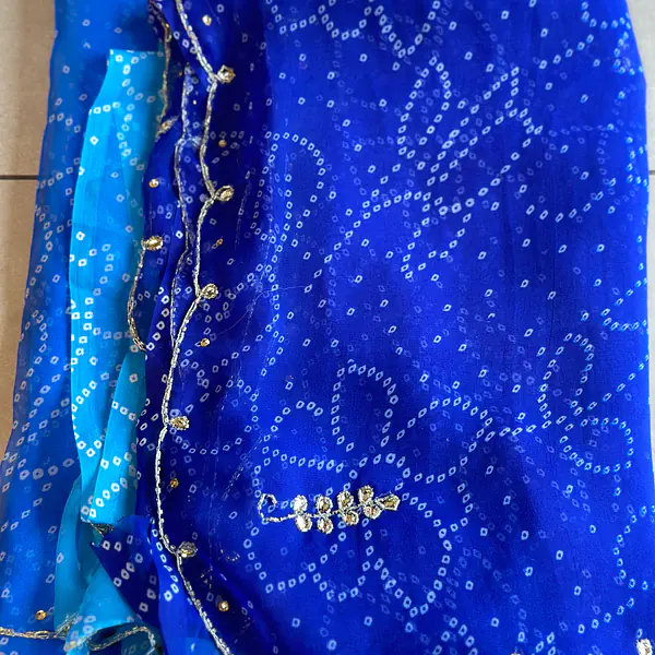 OMBRÉ BHANDEJ HANDWORK SAREE - Blue 2
