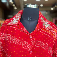 BHANDEJ HANDWORK CO-ORD SET - Rani - 40