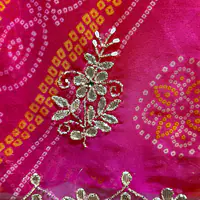 BHANDEJ PACHRANGI GOTTA PATTI HANDWORK SAREE - PINK GREEN 3