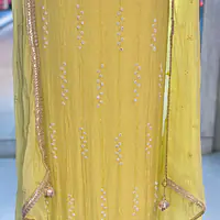 PURE ORGANZA HANDWORK SUIT SET