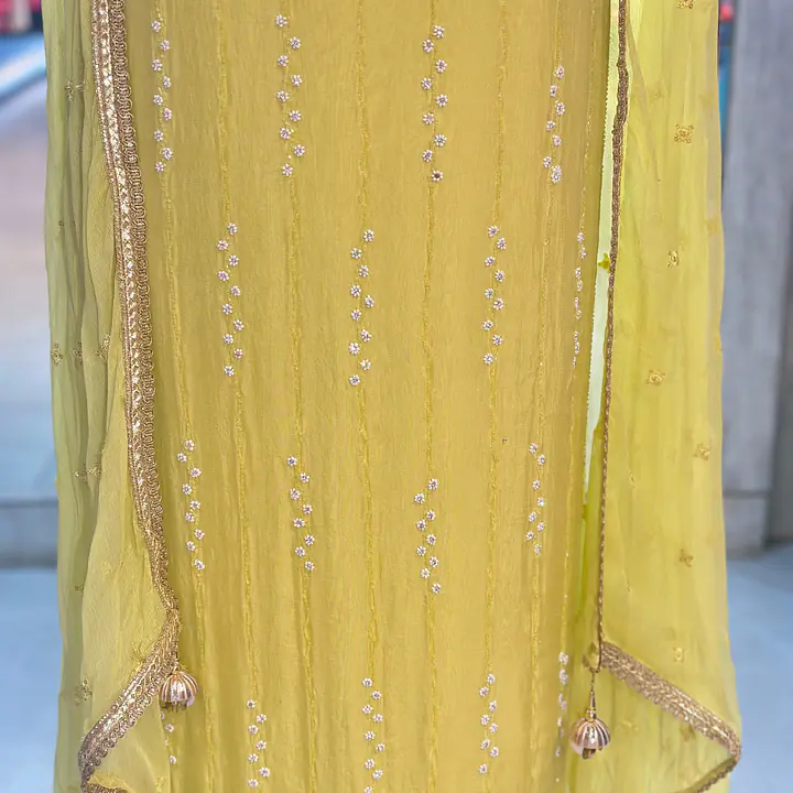 PURE ORGANZA HANDWORK SUIT SET