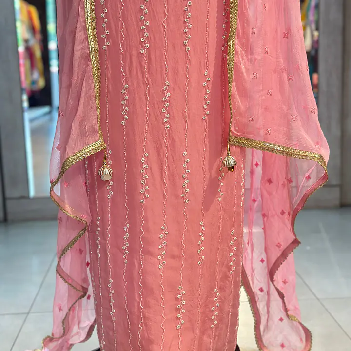 PURE ORGANZA HANDWORK SUIT SET