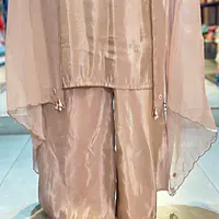 PURE ZARI TISSUE PLAZO SET