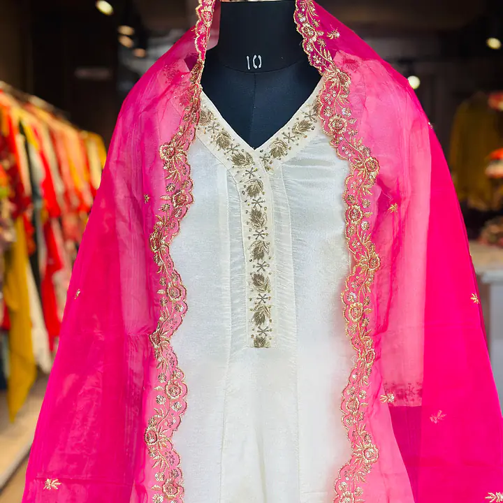ANARKALI IN PURE ZARI TISSUE - 38