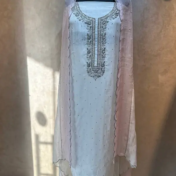 Pure Organza Handwork Suit