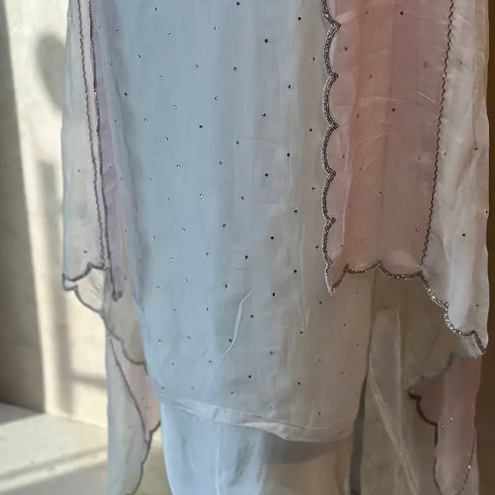 Pure Organza Handwork Suit