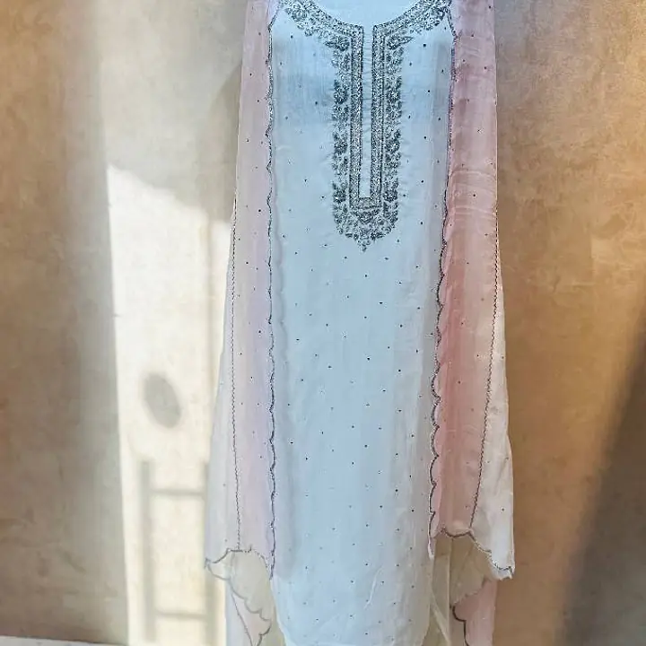 Pure Organza Handwork Suit